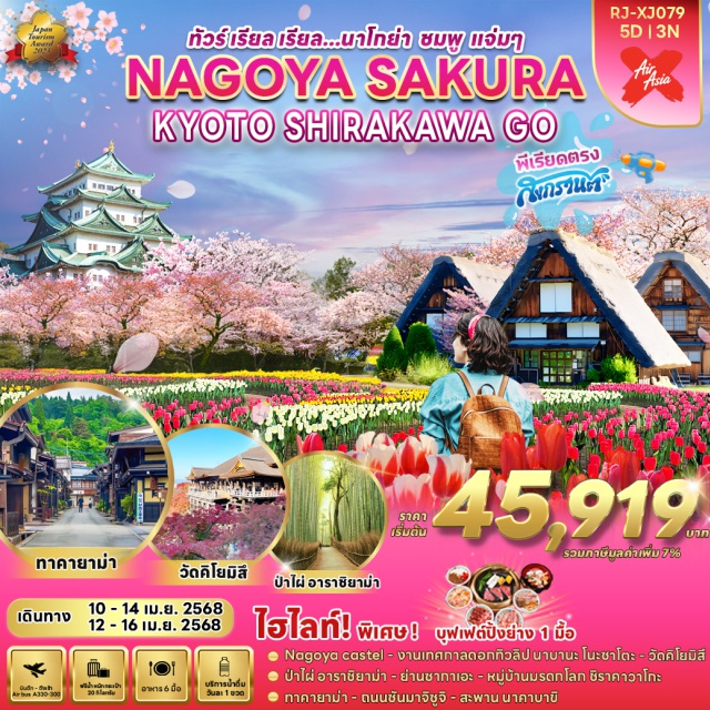 นาโกย่า เกียวโต ชิราคาวาโกะ Nagoya castel งานเทศกาลดอกทิวลิป นาบานะ โนะชาโตะ วัดคิโยมิสีบำไผ่ อาราชิยาม่า  ย่านชากาเอะ หมู่บ้านมรดกโลก ชิราคาวาโกะ ภาคายาบ่า ถนนชั้นมาจิชูจิ 
สะพานนาคาบาขิ