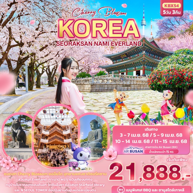 โซล ชุนชอน  เกาะนามิ ชมCherry Blossom เกาะนามิ+ยออึยโด พาร์ค 
อุทยานแห่งชาติซอรัคซาน
สักการะพระใหญ่ วัดชินฮึงซา (ค่าทัวร์รวมค่าเข้าอุทยาน ไม่รวม ค่าขึ้น CABLE CAR)
ถ่ายรูปสุดชิคแห่งใหม Suwon Starfield Library 
สวนสนุกเอเวอร์แลนด์ (Everland)
ช้อปปิ้งย่านดัง ฮงแด/เมียงดง/Duty Free
พระราชวังเคียงบกกุง
หมู่บ้านโบราณบุกชอนฮันอก
N Seoul Tower