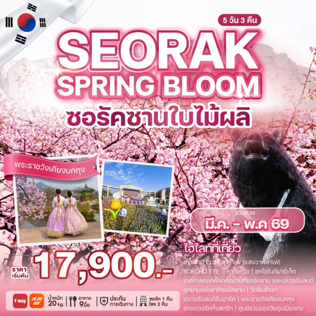 ทัวร์เกาหลี WEKR-SSB2026 : ทัวร์เกาหลี Seorak Spring Bloom BY 7C/BX ...